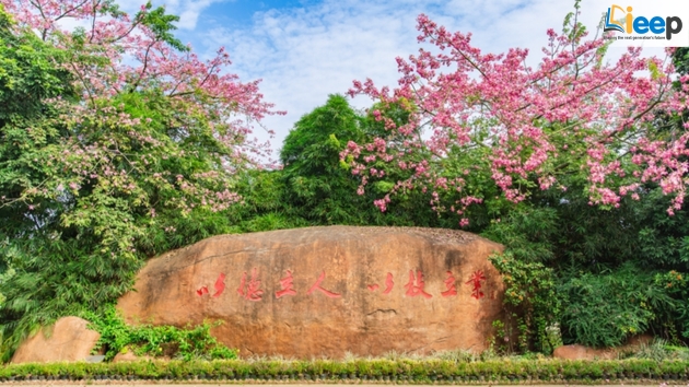 đá khẩu hiệu trường học.jpg